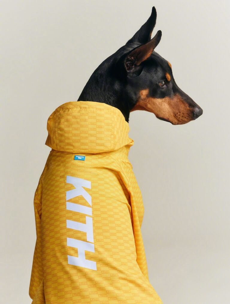 Kith × wagwearKith进军宠物赛道，与纽约宠物公司wagwear合