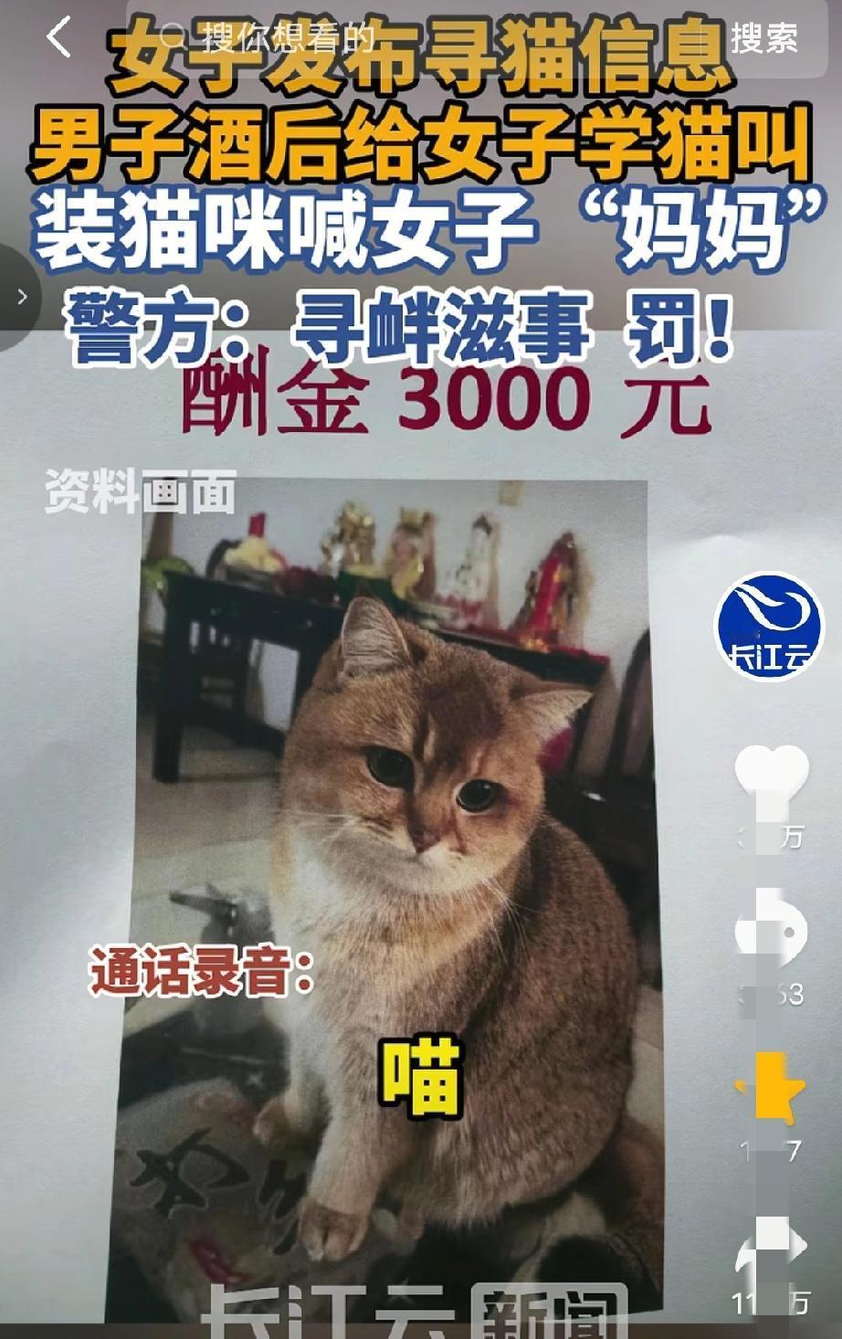 “活该被罚！”天津一女子养的宠物猫丢失，贴了一张寻猫启示，没想到很快就有了消息，