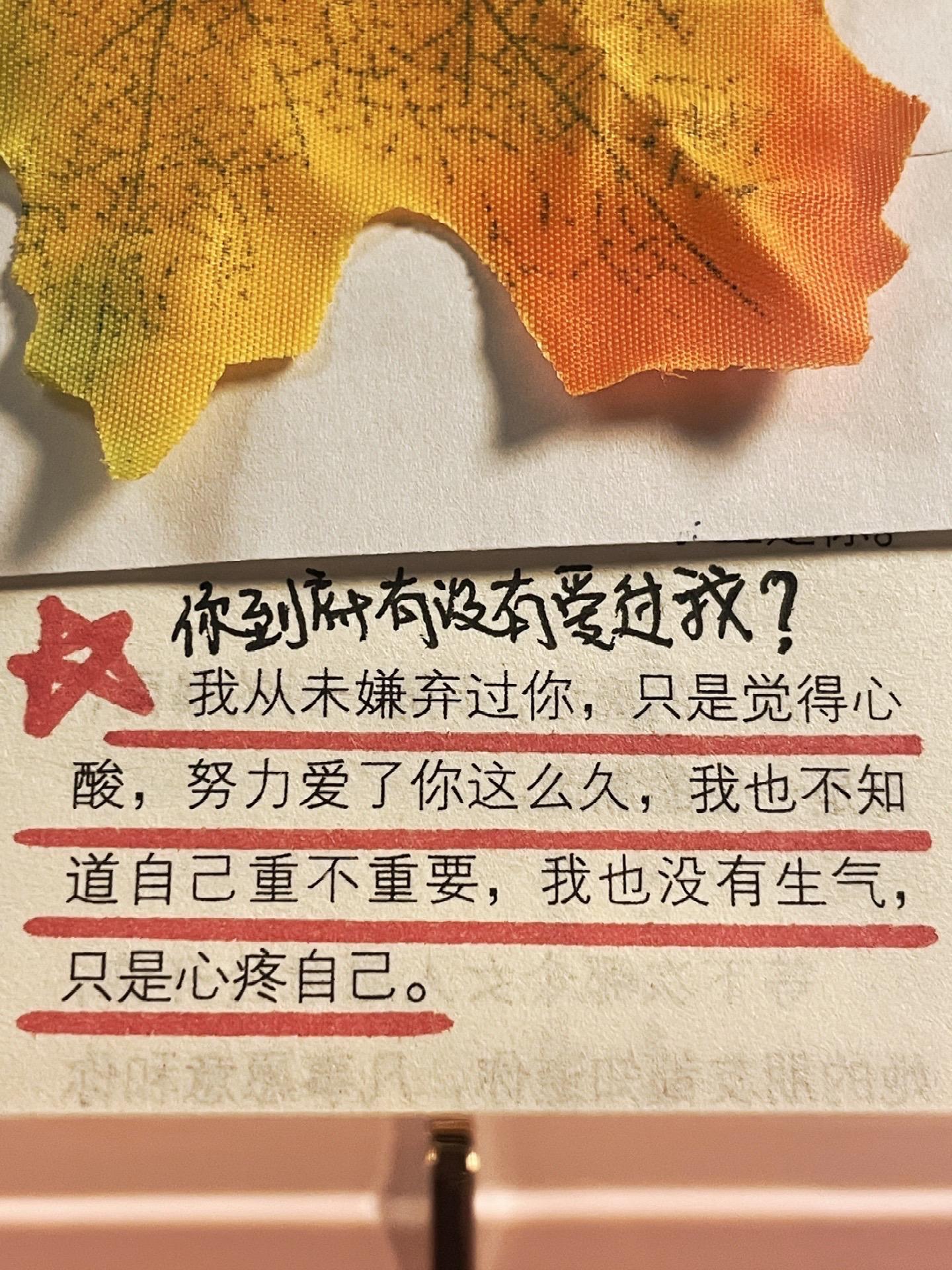 你到底有没有爱过我？为何我一点感觉不到。我从未嫌弃过你，只是觉得心酸...