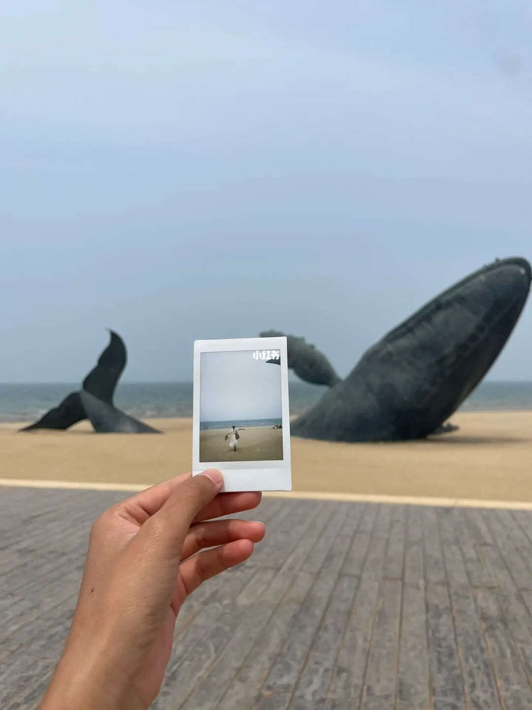 人生建议：来烟台定不能错过这几片海🌊