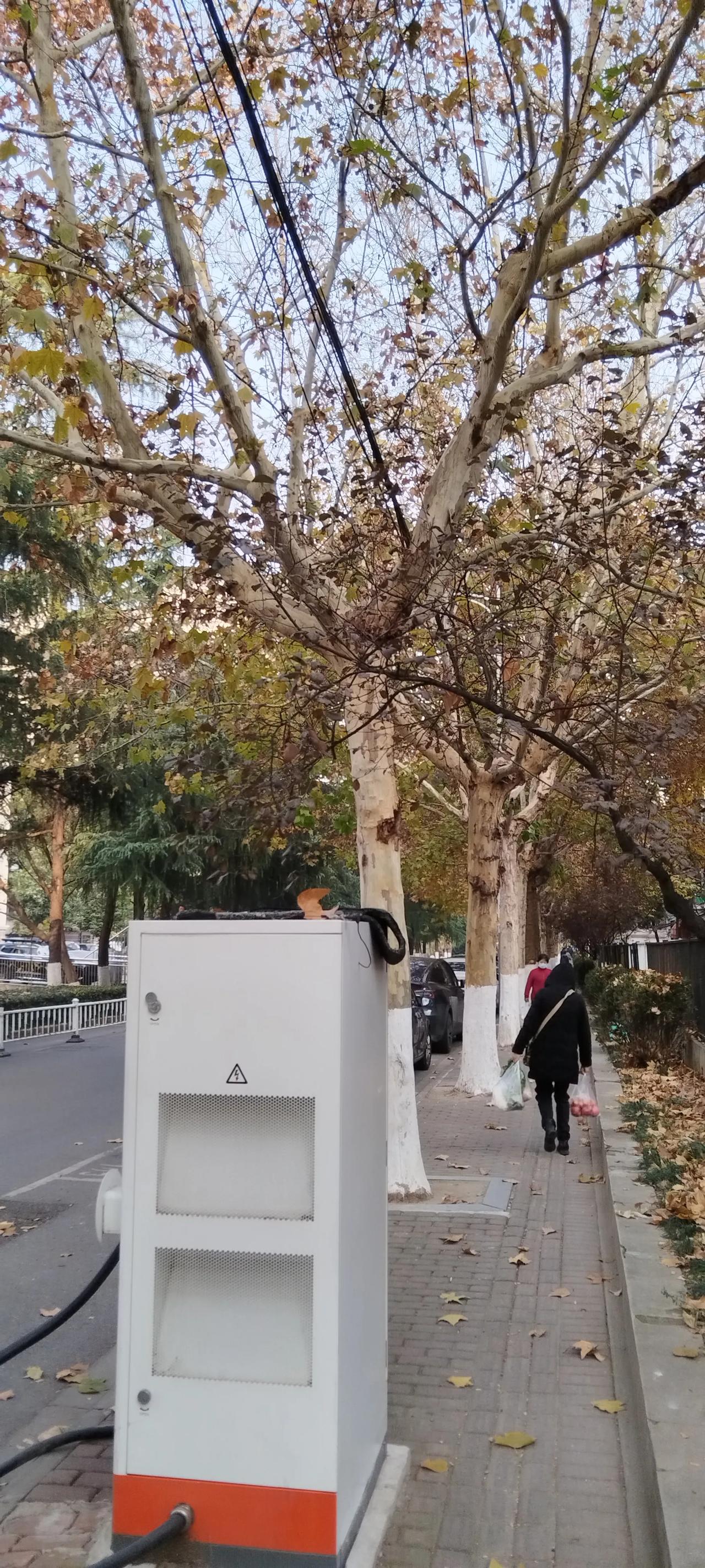 马路边上，人行道上的新能源汽车充电桩。