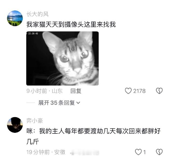 咪:我的天呐，你居然活着回来了 