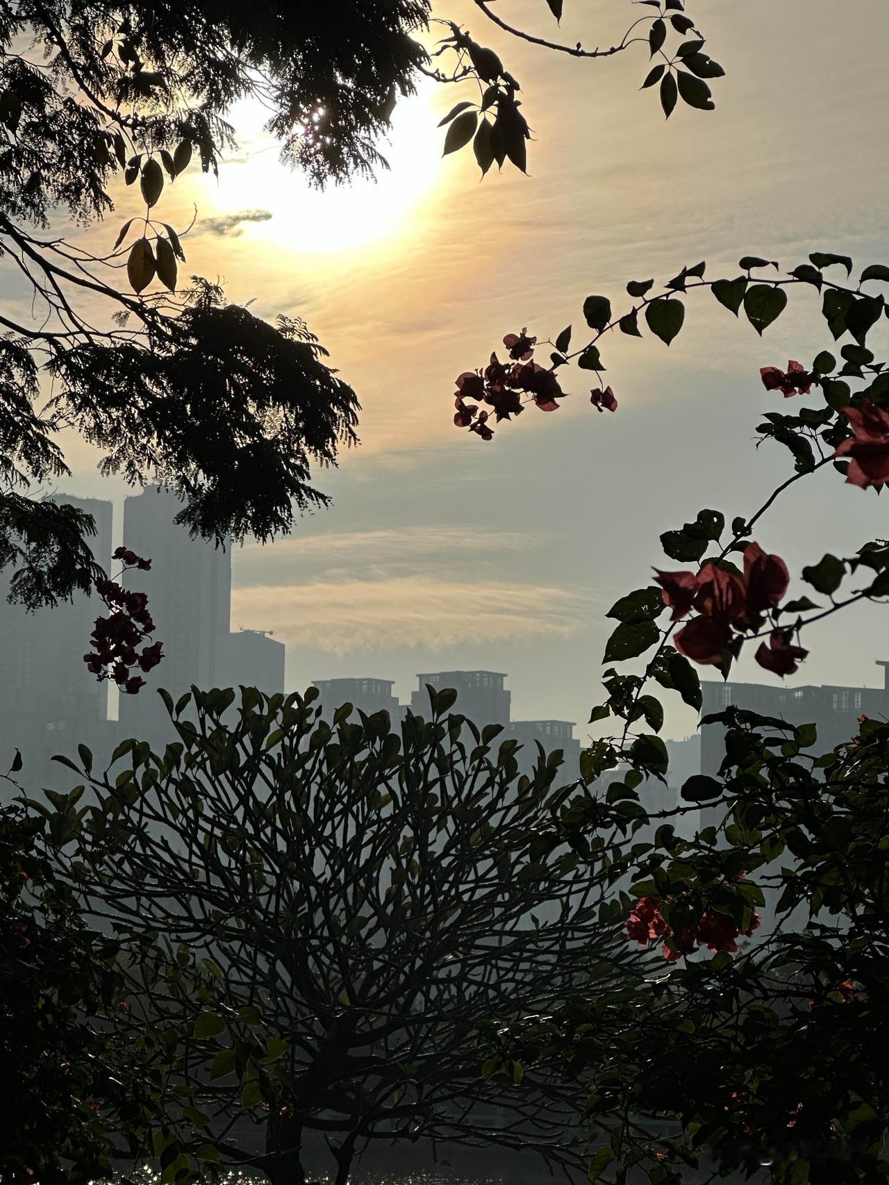 分享一张最近随手拍的照片