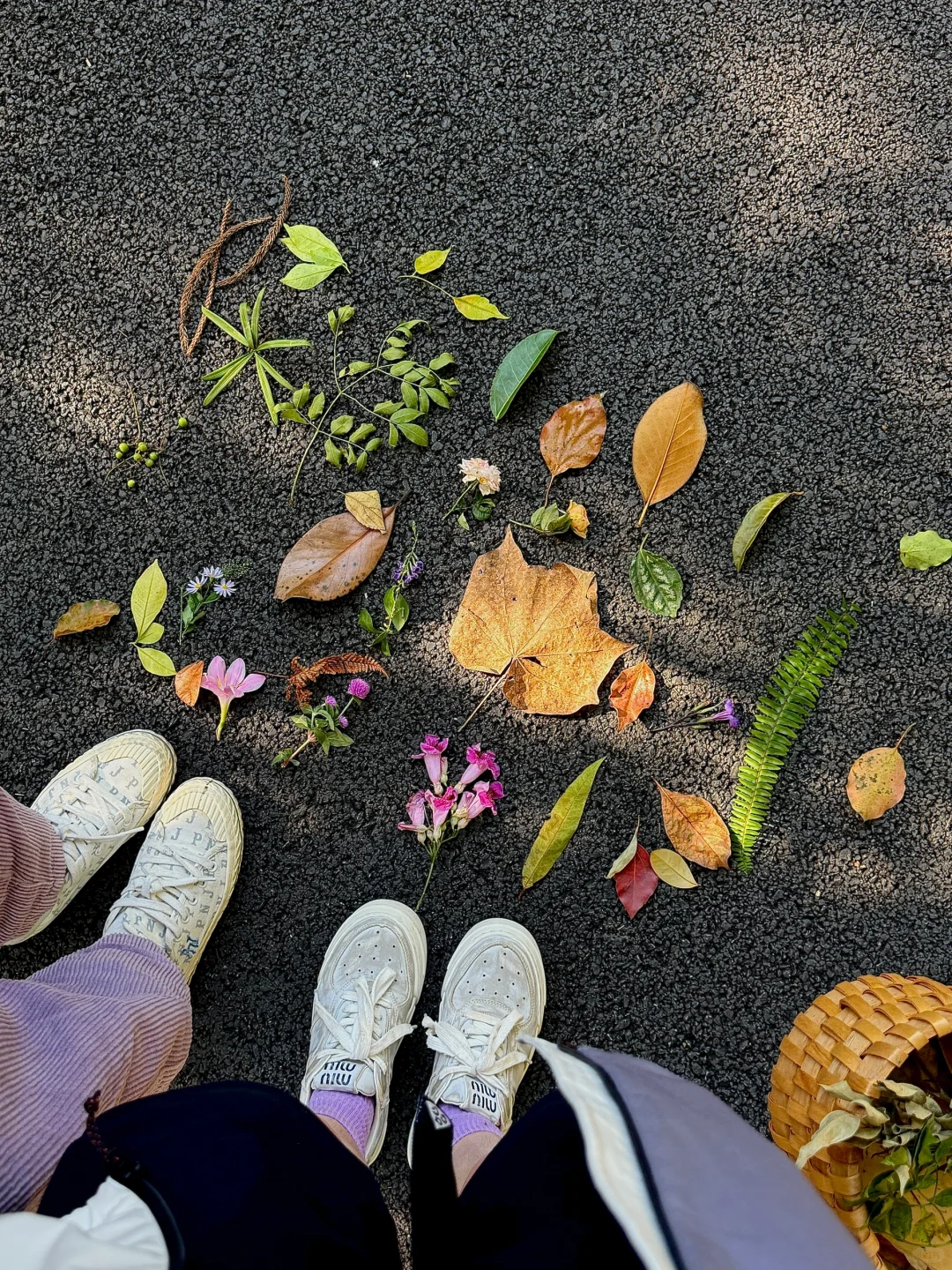 去户外 捡秋天🍂原来秋天是五彩斑斓的浪漫～