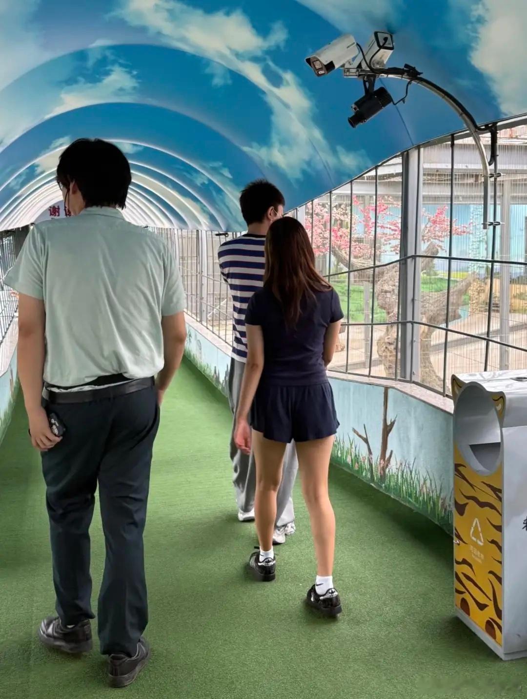 贾乃亮和女儿动物园看老虎，14岁甜馨穿短裤露大腿，父女长相神似！ 