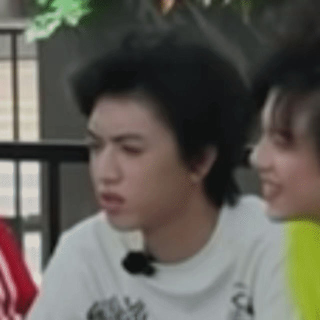 狗毛风中凌乱严肃思考中 