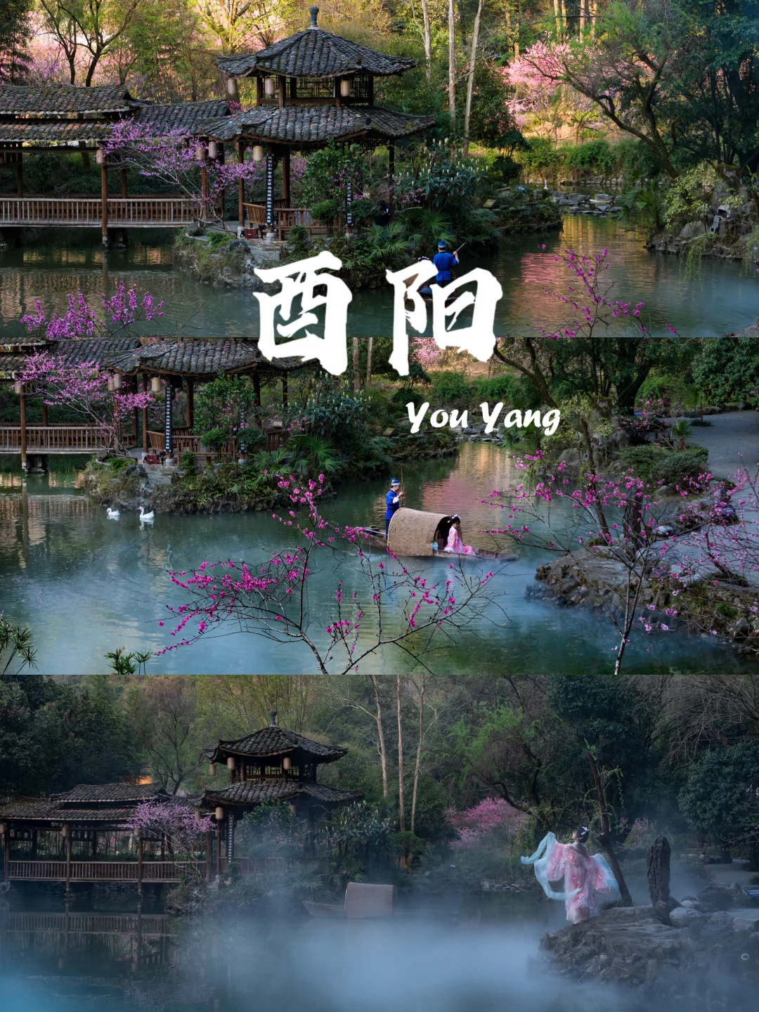 2026酉阳桃花源封神了！十二花神沉浸式体验