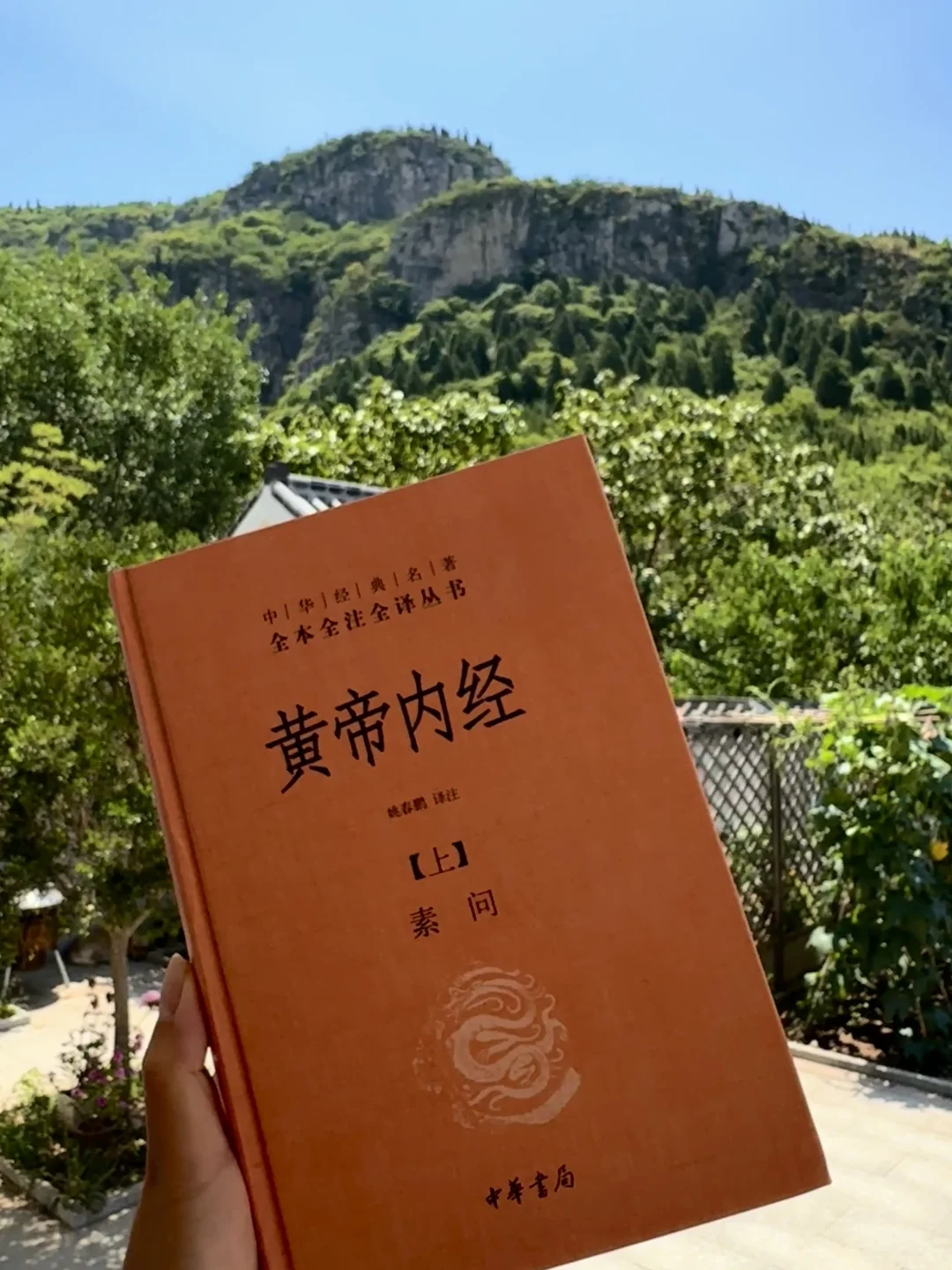 中医世家女：“离火元年”中女修心大补方☁️🌿