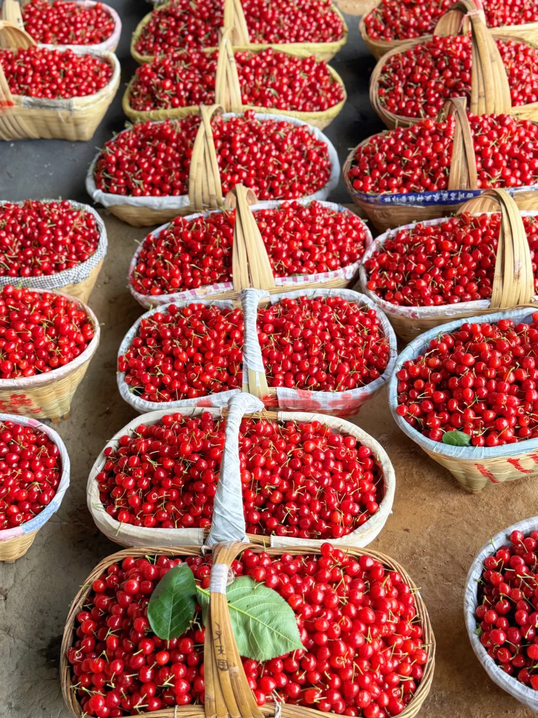 不做预售下单就发，不用等，让您提前一步尝新