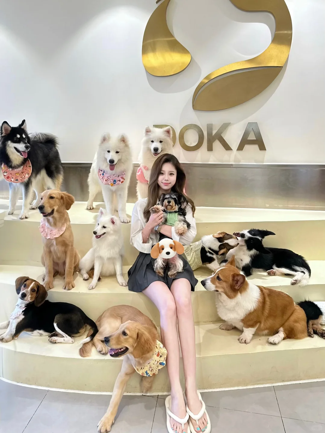 小狗拯救世界˙ᵕ˙🦴ₓ 🦮