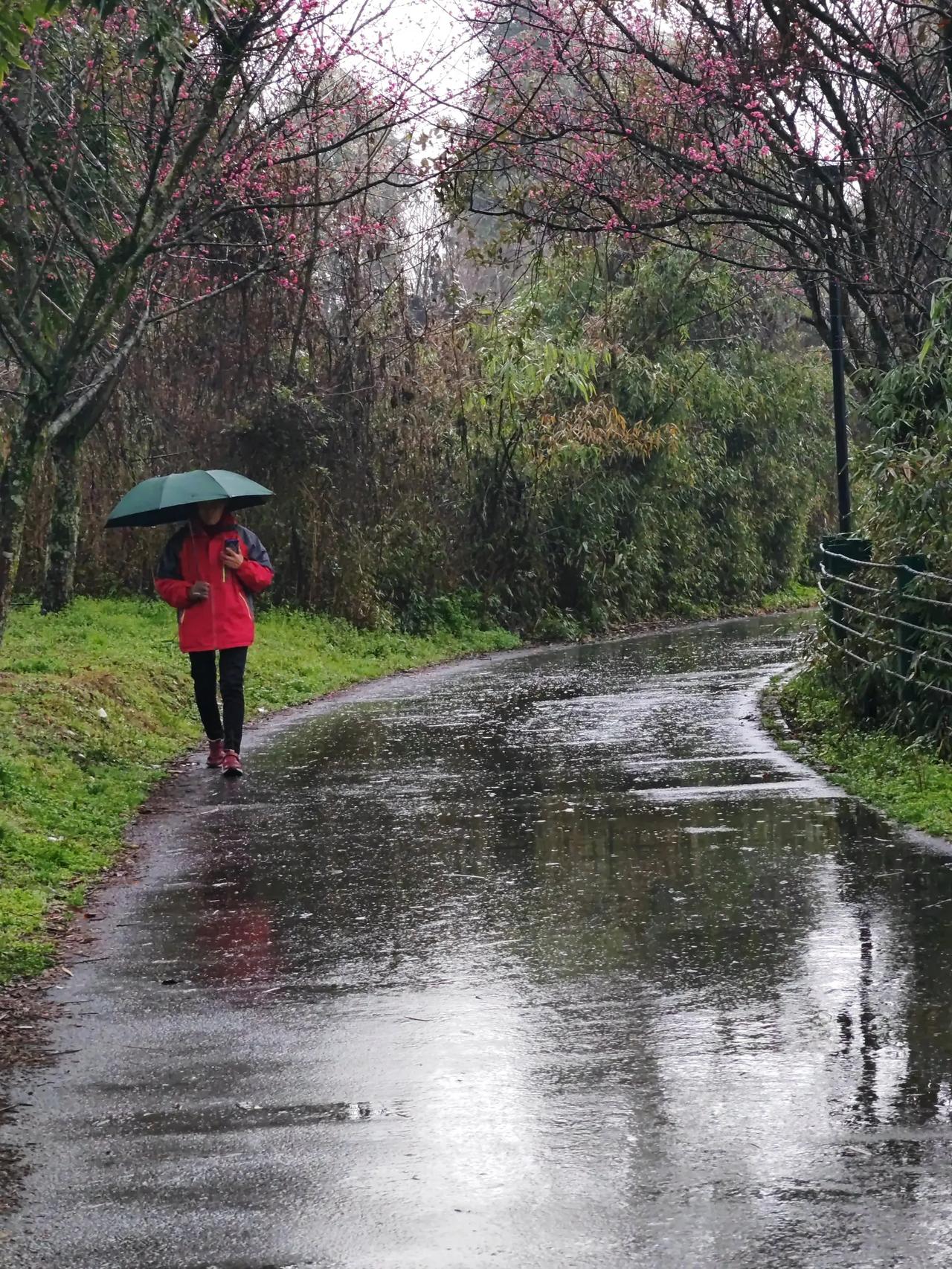 街拍中国雨中漫步