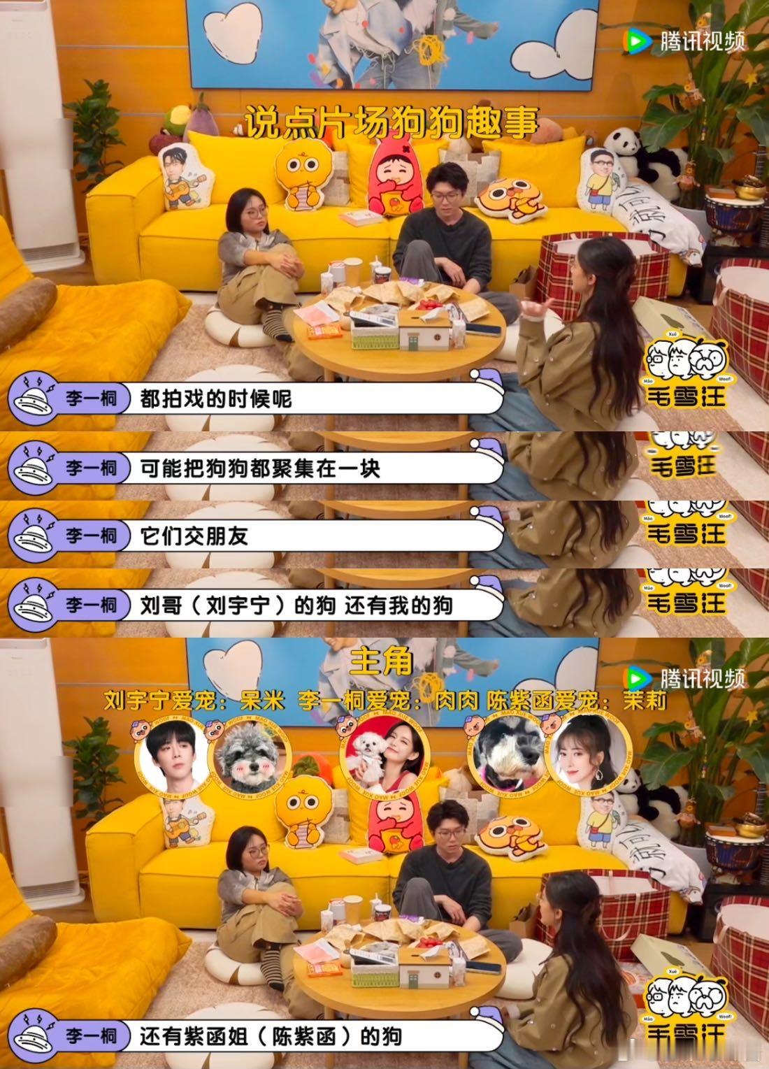 李一桐讲八卦很有一套  这期毛雪汪信息量好大 毛雪汪迎来李一桐，她讲的八卦超有料