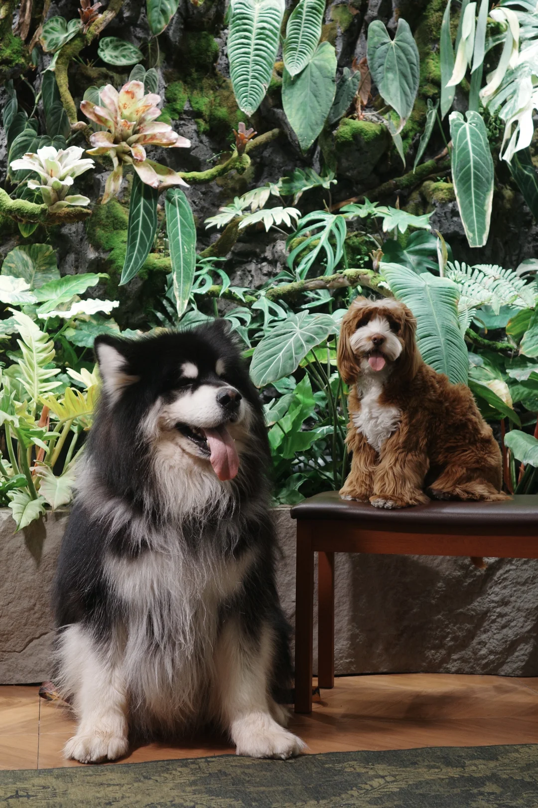 看！谁是乖崽崽～