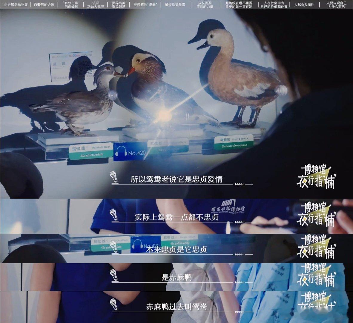颜值高的动物都很渣 外表好看会拥有更多选择权，但选择权多，不代表就懂得坚守感情。