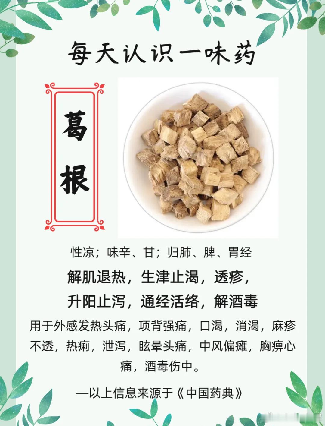 葛根升津不升气，升麻升气不升津：从根实与根空看本草升降之妙在中药宝库中，葛根与升