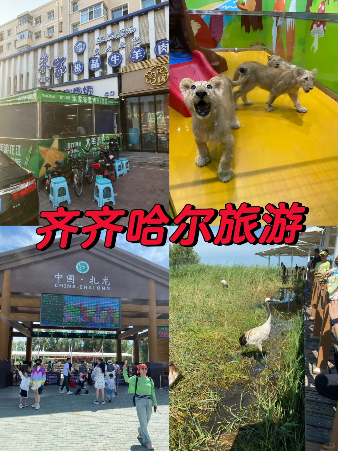 齐齐哈尔烤肉+动物园+丹顶鹤+十二忠拉面