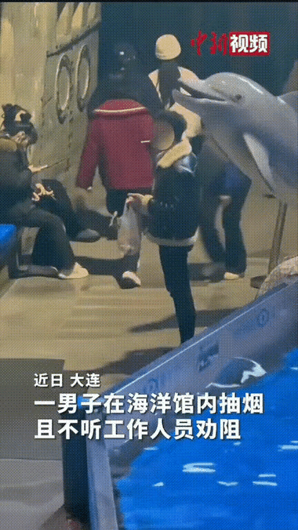 笑不活了！男子在海洋馆违规抽烟，工作人员上前劝阻，他竟又猛吸一口。恰巧白鲸游至身