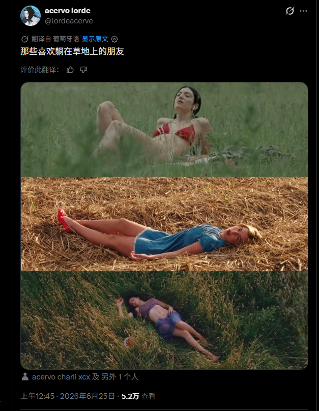那些喜欢躺在草地上的朋友 