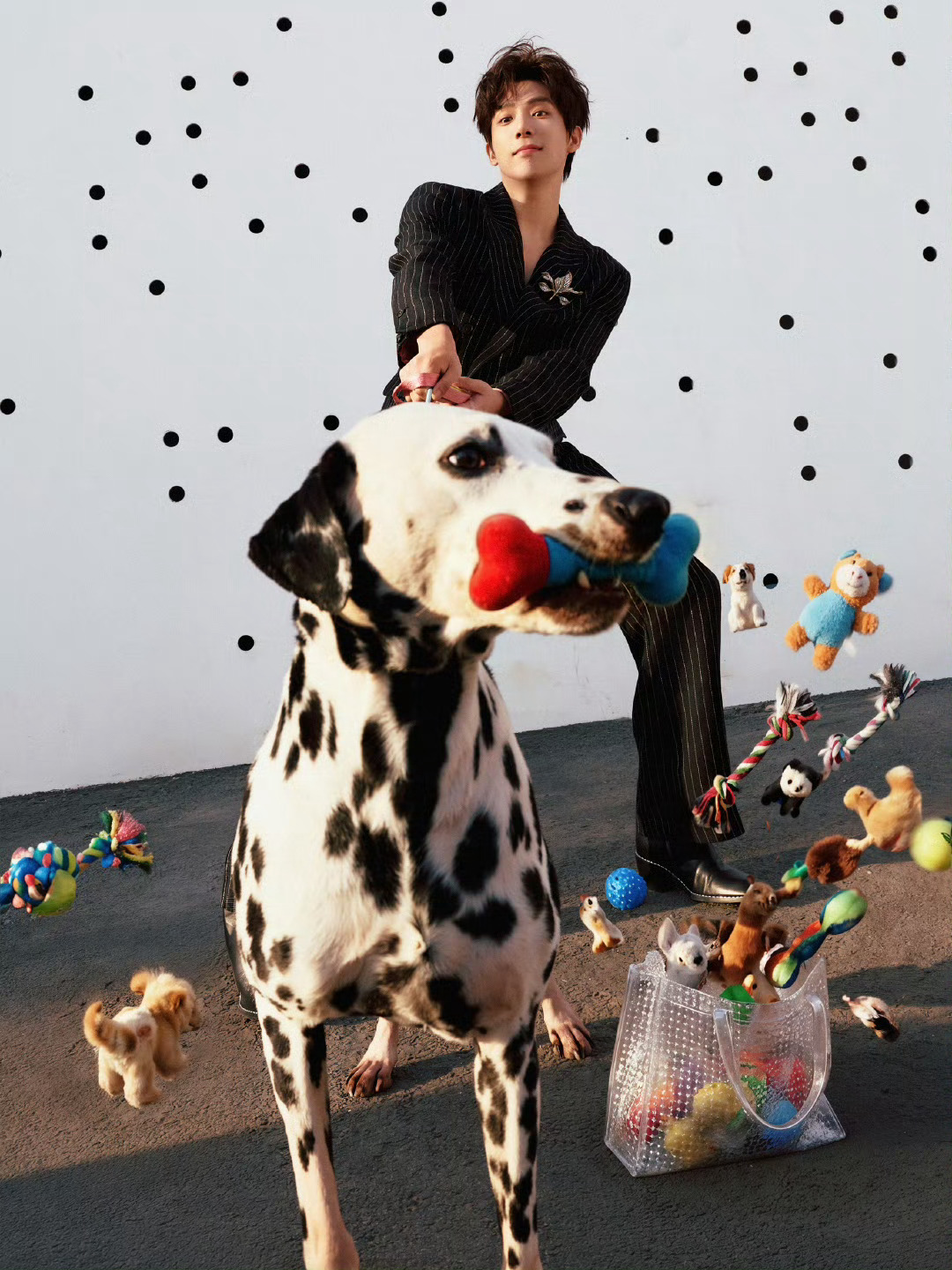 王安宇 王安宇季清和 你的美貌在我心里收藏。比今天的你更好看的只有明天的你！