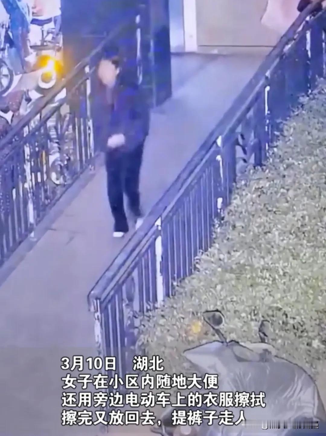 年轻女性，光天化日之下在随处都有监控的小区内大便，完事还用别人的衣服擦屁股，关键