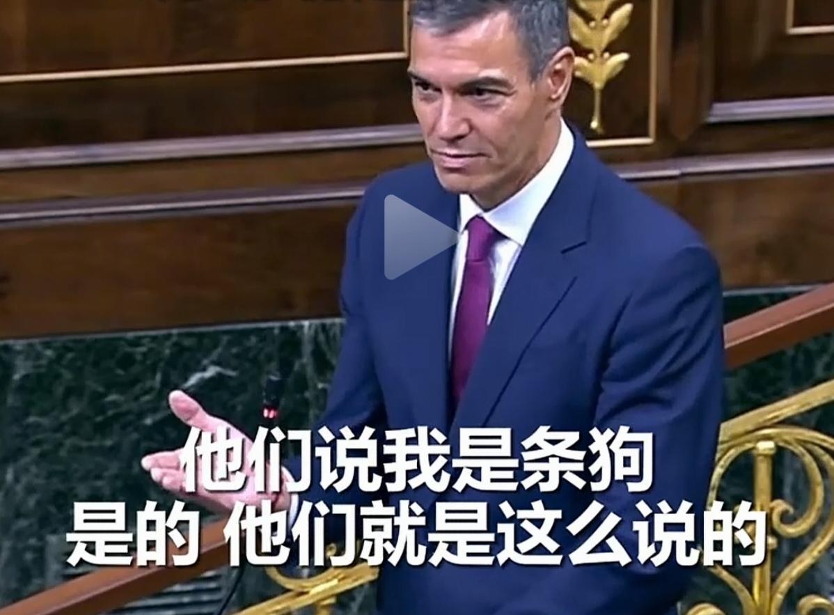 西班牙首相桑切斯这回在国会的表现，真的太解气了！

事情是这样的，极右翼呼声党领