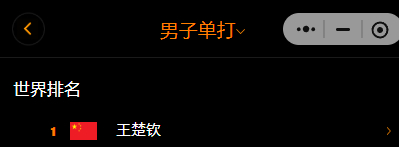 20260731 | 澳门冠军赛赛事资讯男单：王楚钦王楚钦比赛加油