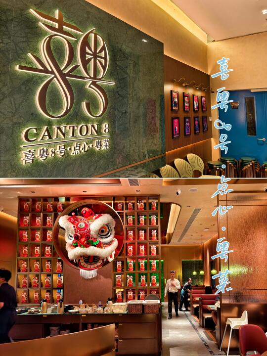 喜粤8号|能看滑雪？还是米其林二星分店？