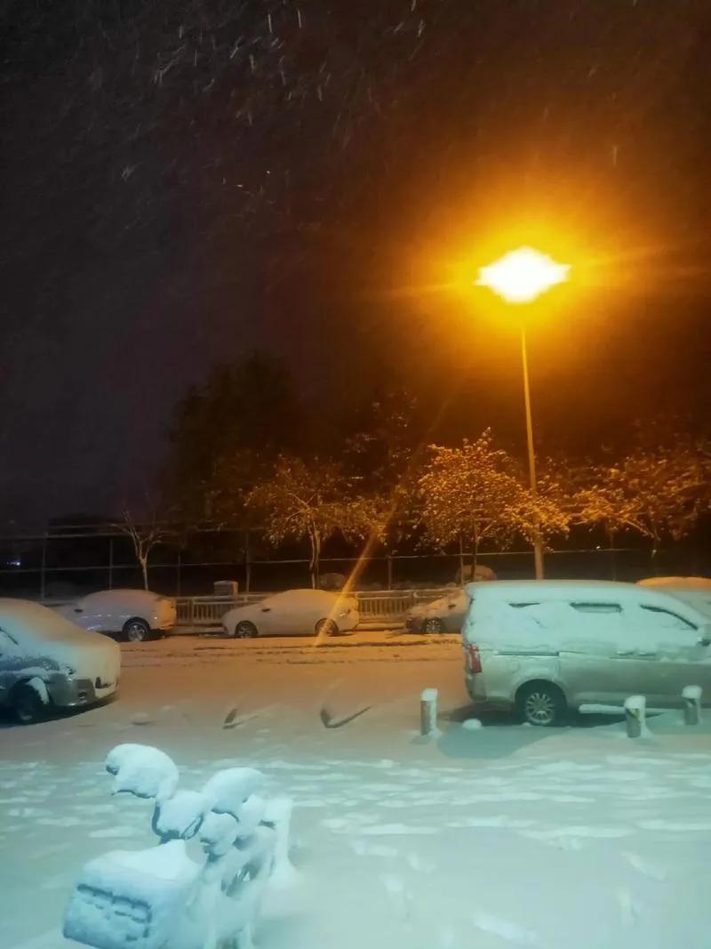 期待一场大雪
 
临河先生

在寒枝沉默的守望里，
期待一场大雪，
如期待久别重