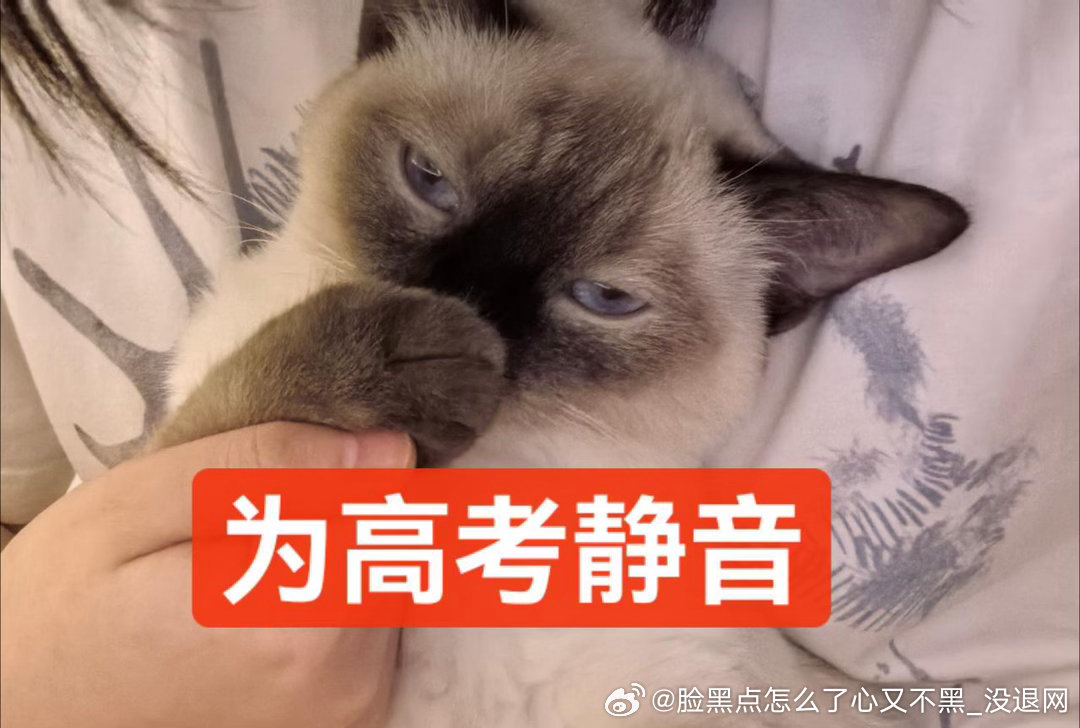 3872只黑脸祝马上要高考的逼家军高考加油