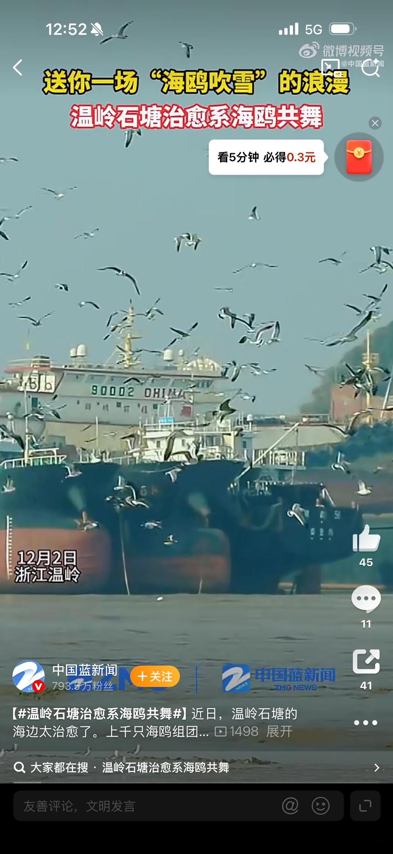 台州温岭绝美海景温岭石塘海边的上千只海鸥太治愈！白翼翻飞与海浪声相映，和渔村风光