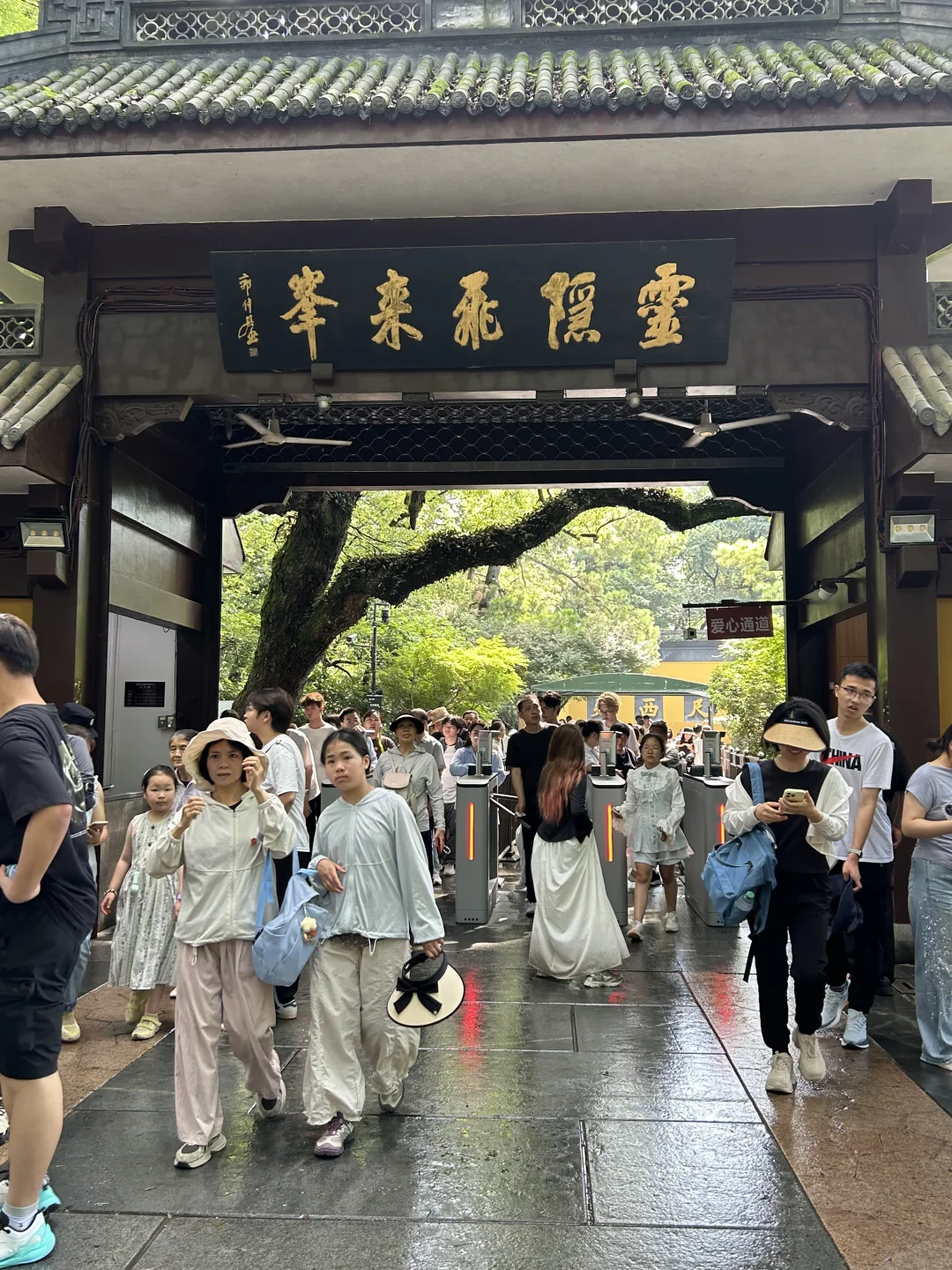 7.3灵隐寺现状！！！！大晴天好热！！！