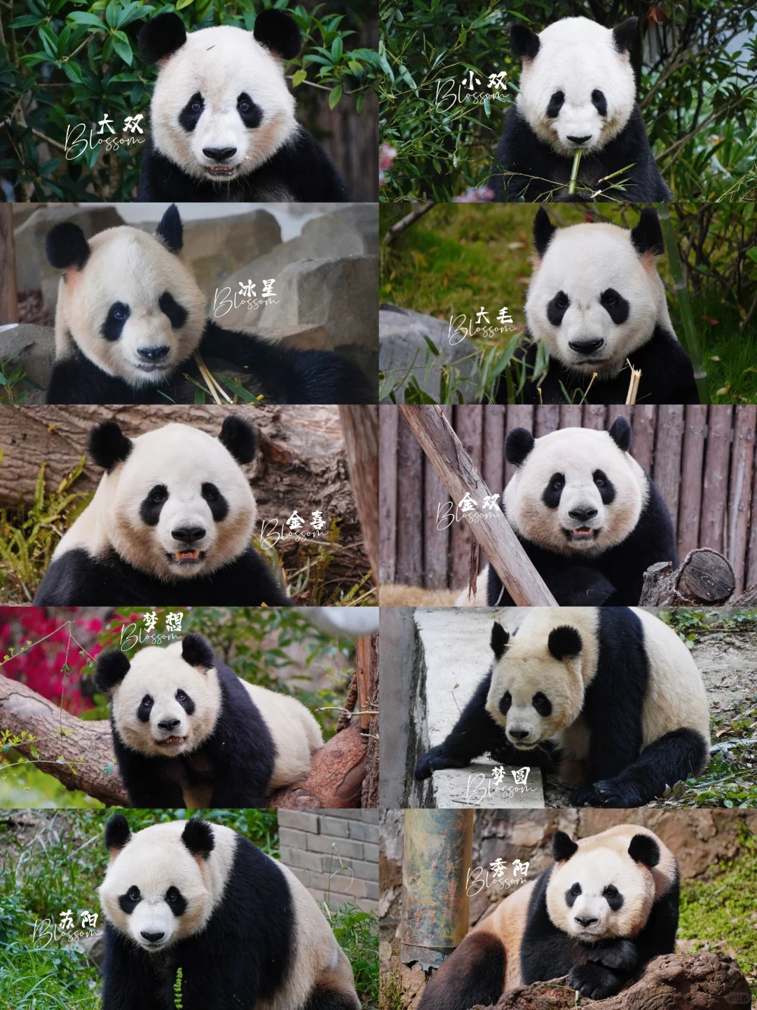 9.1 今天生日的熊熊生日快乐❤️💛🧡