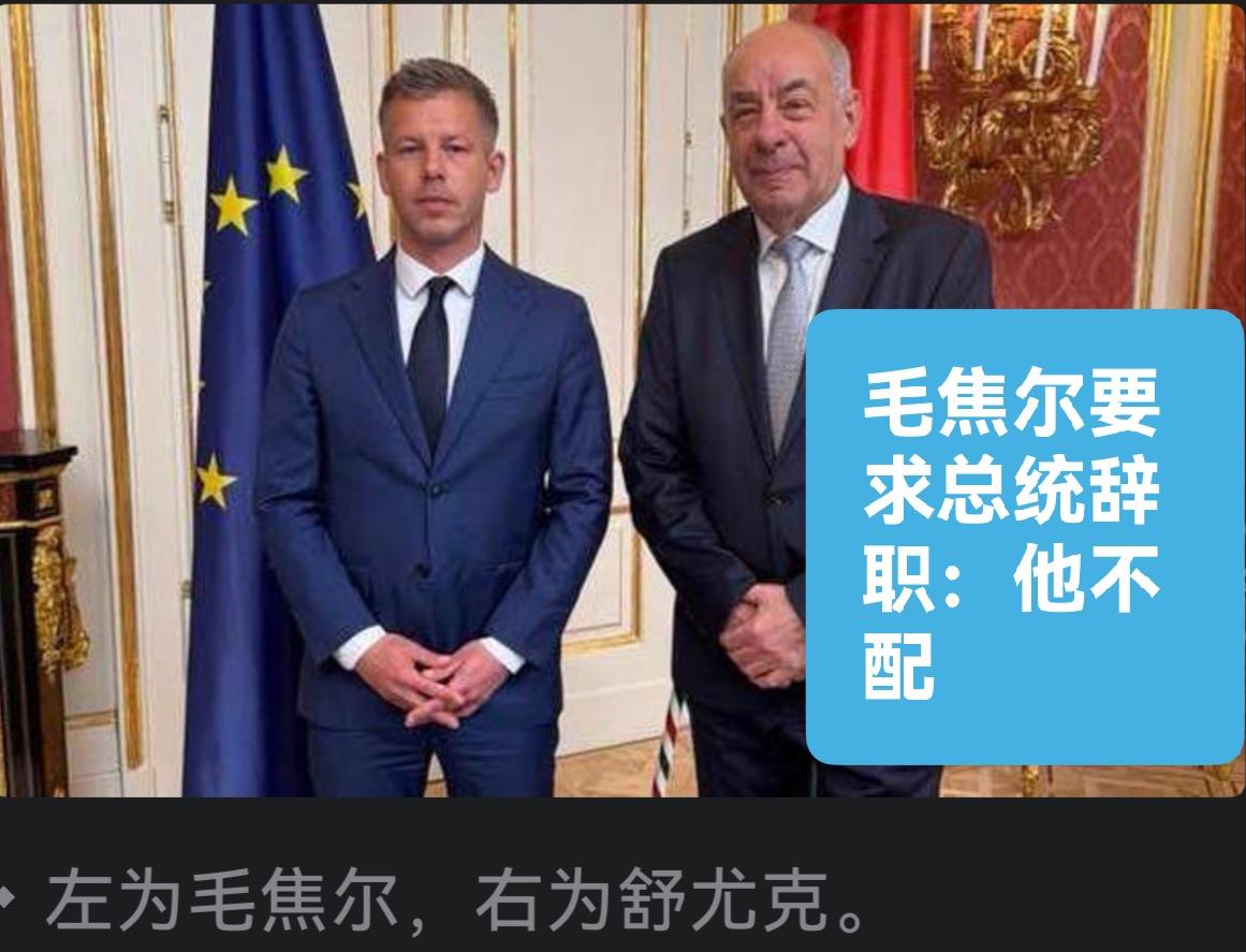 毛焦尔要求总统辞职：他不配

   据外媒报道匈牙利总理当选人毛焦尔4月15日说