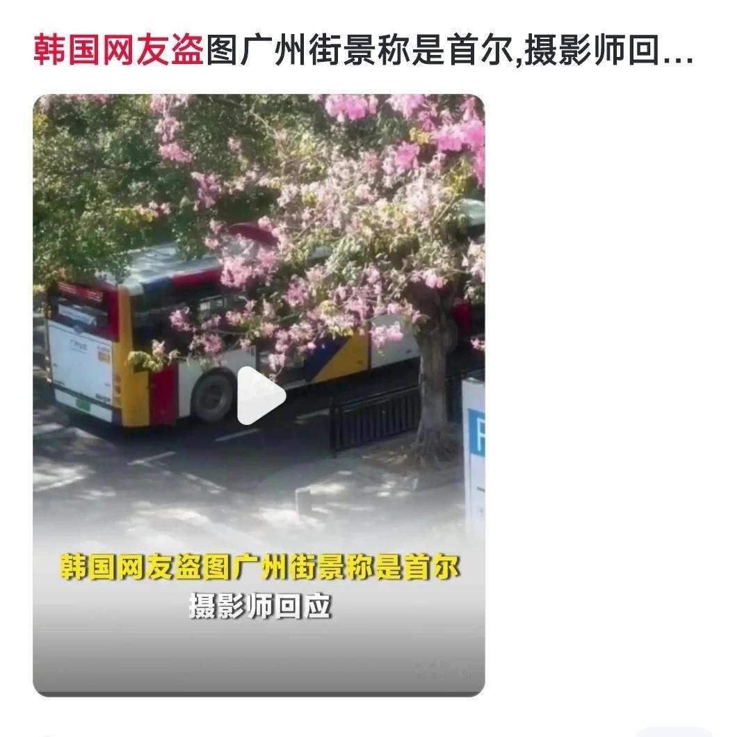 广州街景绿化是天花板级别的，连外国人也盗用广州的美图认作是自己国家的首都[赞]