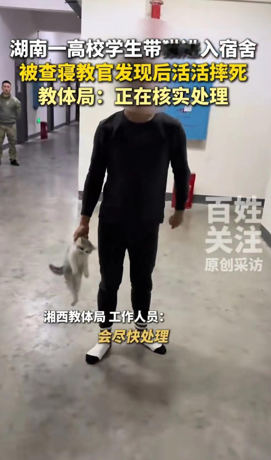 湖南一高校学生带猫进宿舍，被查寑教官活活摔死。
可以看出来面对镜头，教官不断重复