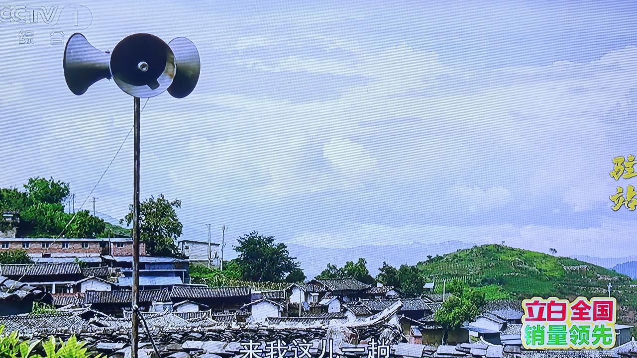 央视停播《驻站》两天了，常警官、周颕、王冬雨，这三个人“放假”不修罗场了？张莱西