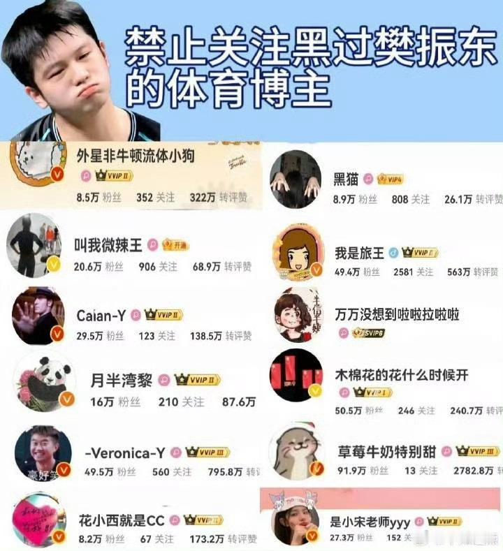 有必要再次提醒一下所有喜欢樊振东的球迷，以下用户禁止关注互动⚠️ ​​​