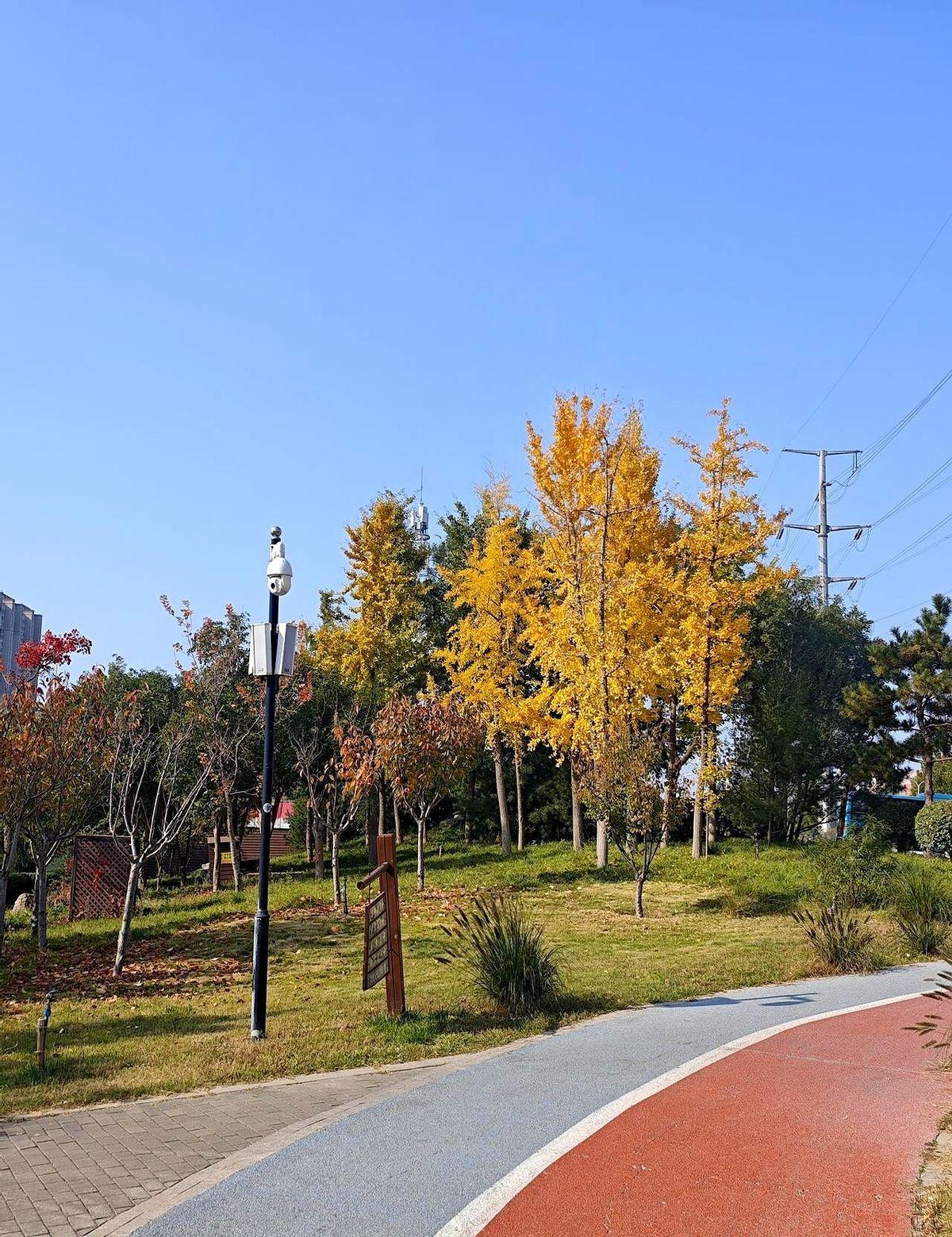 退休不兴开大会了。
不是闹脾气，是真腻了。
领导念稿子，你鼓掌笑，谁心里不尴尬？