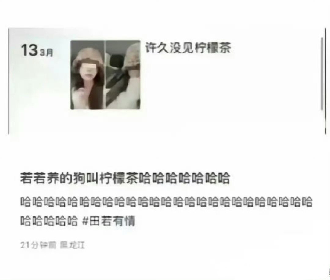 若若养的狗叫柠檬茶，田栩宁粉丝叫柠檬水~ 