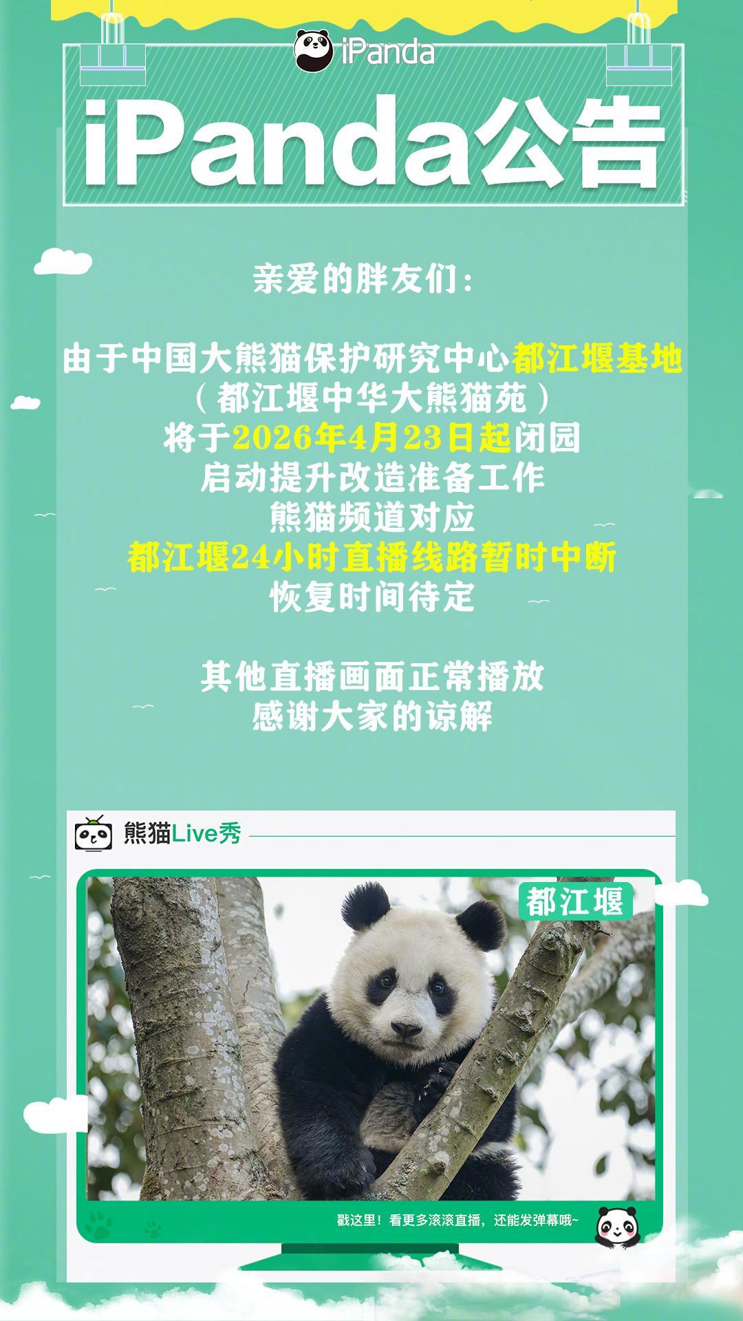 【iPanda公告】亲爱的胖友们❤️由于中国大熊猫保护研究中心都江堰基地（都江堰