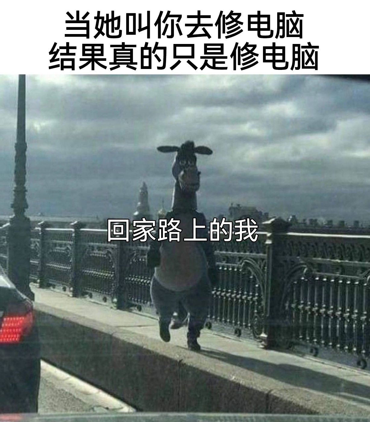 嘿！驴子#meme# ​​​