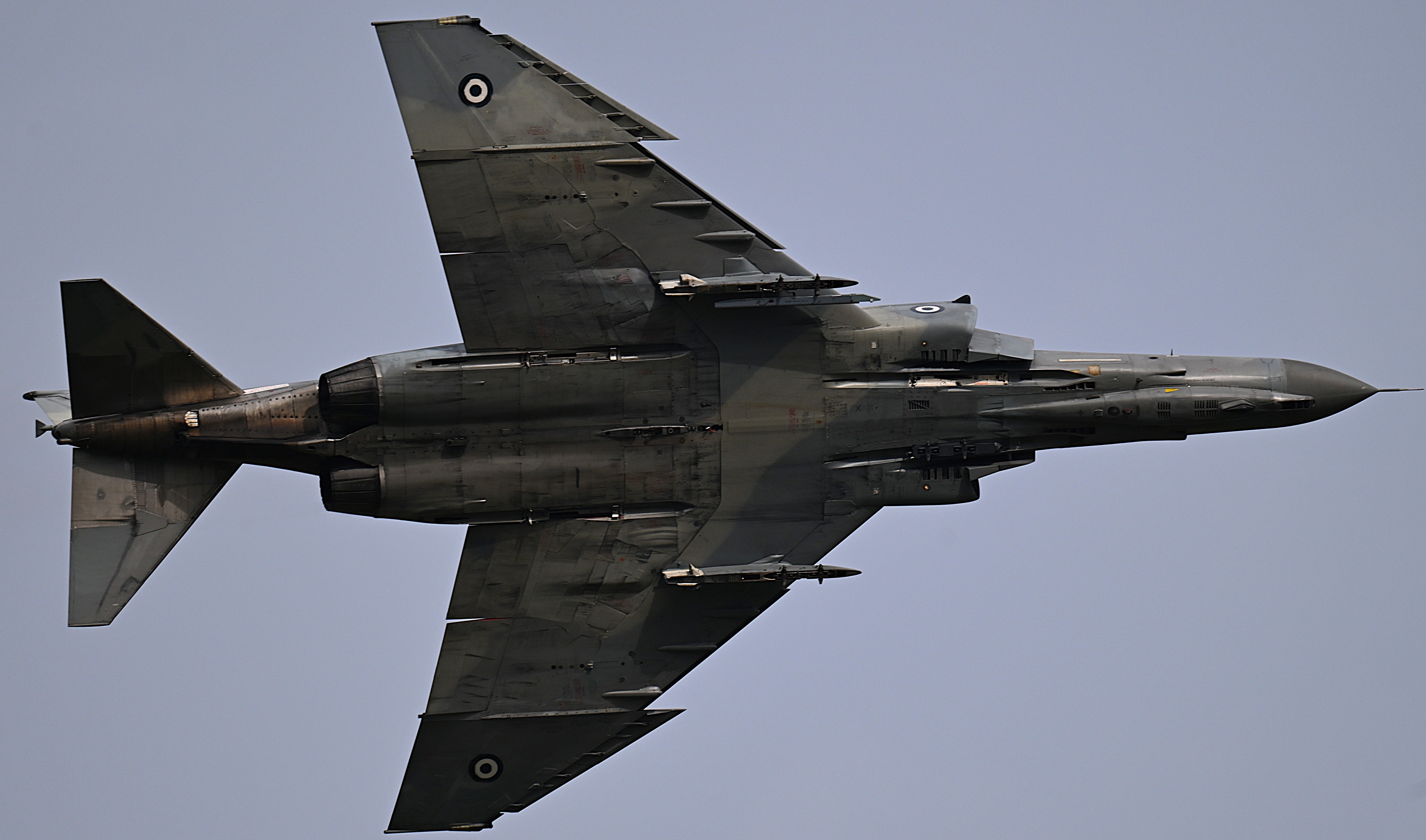 高分辨率图像 F4的肚皮 