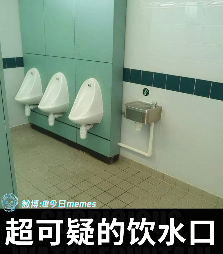 从哪来（9gag）哎呀