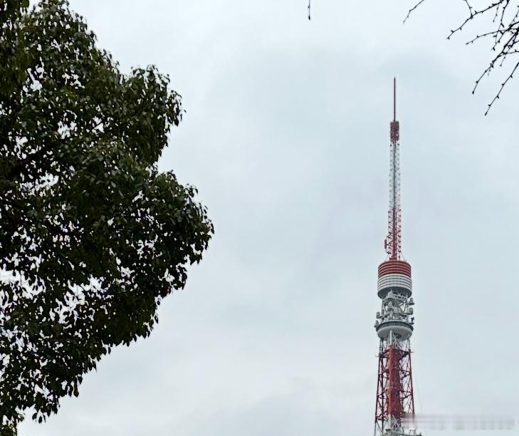 两天三地。TokyoCQZhejiang：HZ&NB 