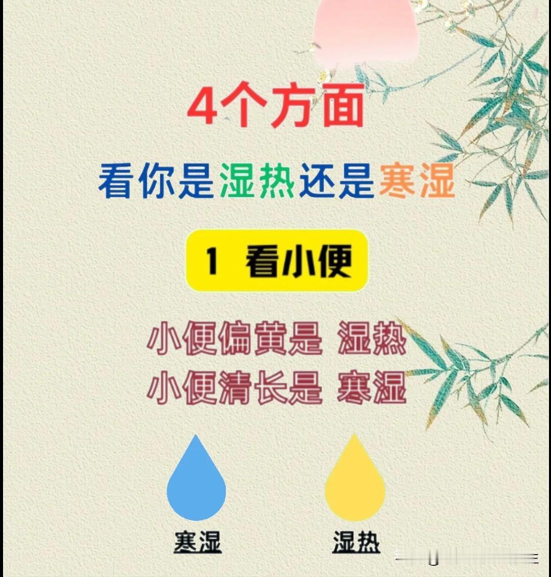 【从4个方面对照看一看你是湿热还是寒湿？】



1、看小便


2、看面相
