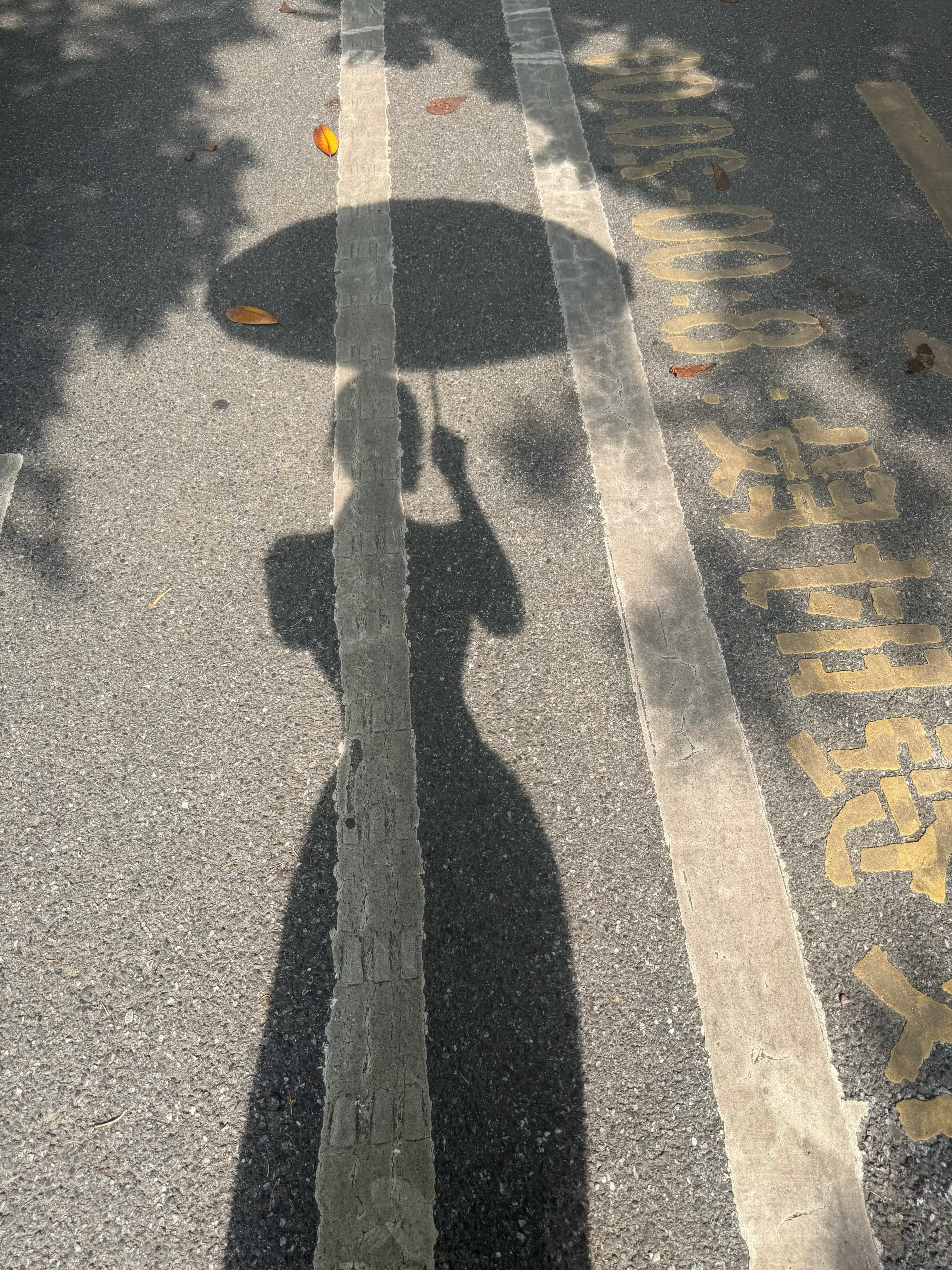 发生在,你身上的每一件事,都会变成你的阅历,成就更好的自己,勇敢的往前走吧。 
