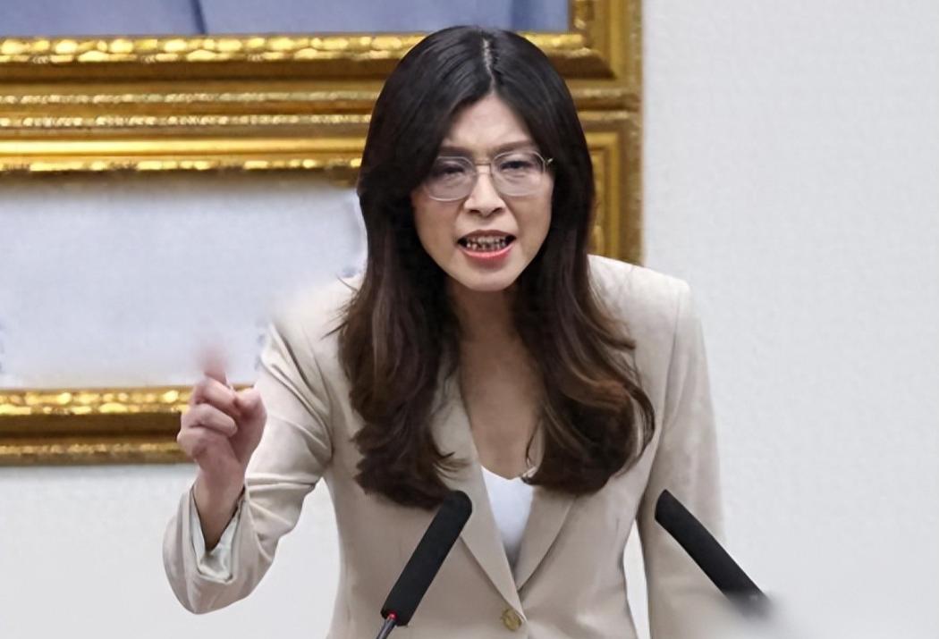 突发！赖清德开始抓人，国民党13人被带走，郑丽文对赖怒骂13分钟！

麻烦看官老