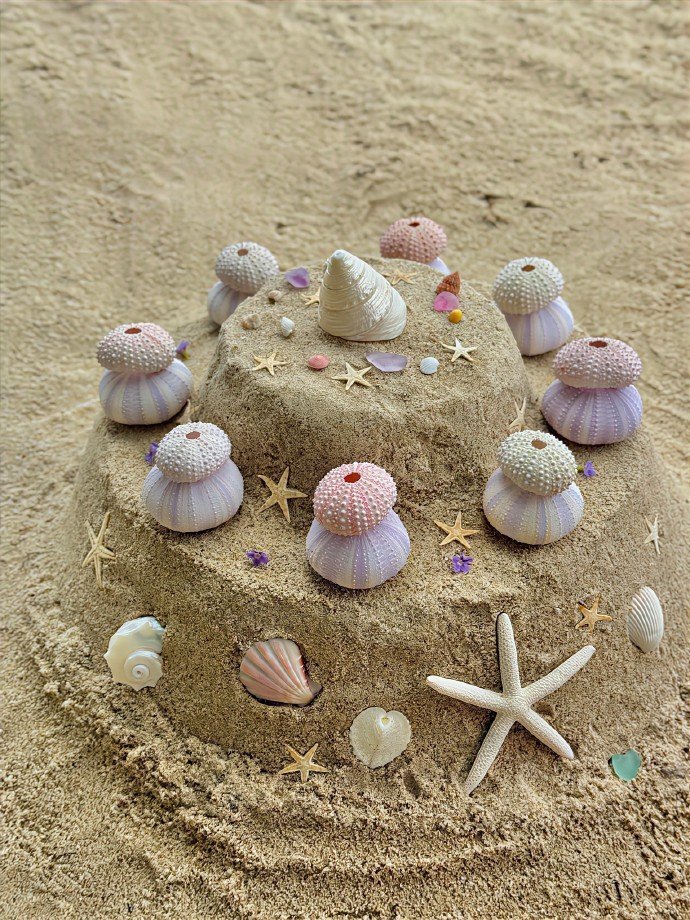 大海有自己的星星 ​​​