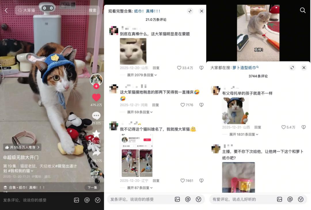 我和猫，也进入了东亚家庭的传统模式