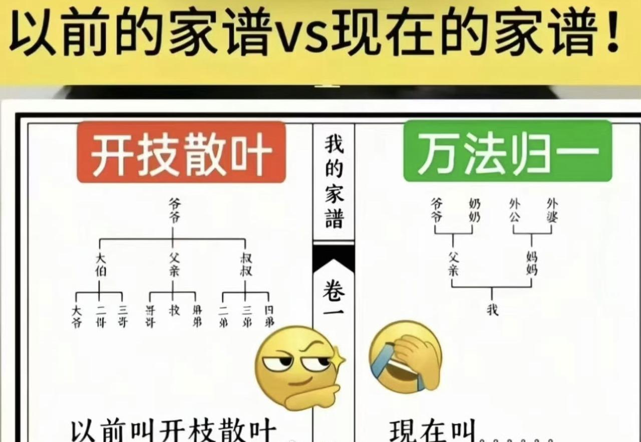 我们东北是非常符合这个图的，人口越来越少，指数级减少，4个变2个，2个变1个，到